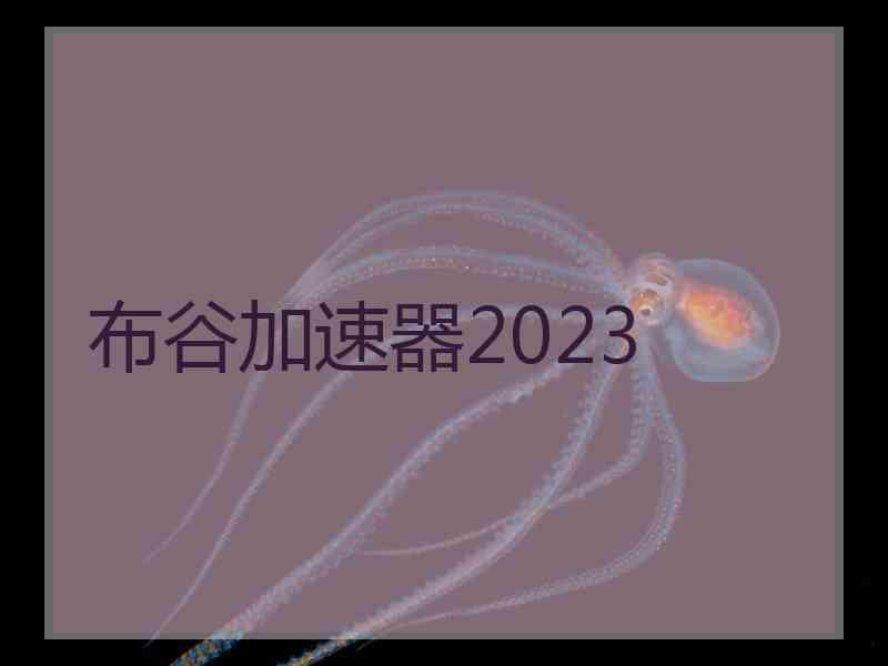 布谷加速器2023