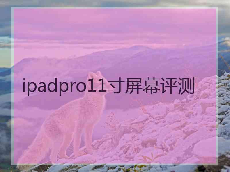 ipadpro11寸屏幕评测