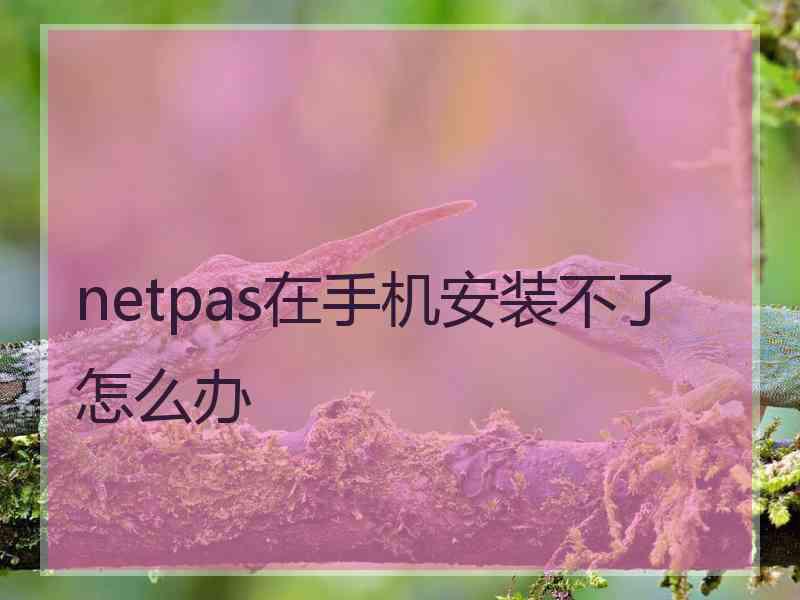 netpas在手机安装不了怎么办