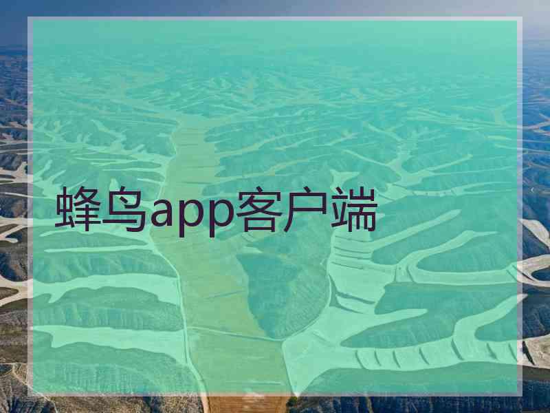 蜂鸟app客户端