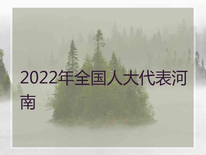 2022年全国人大代表河南