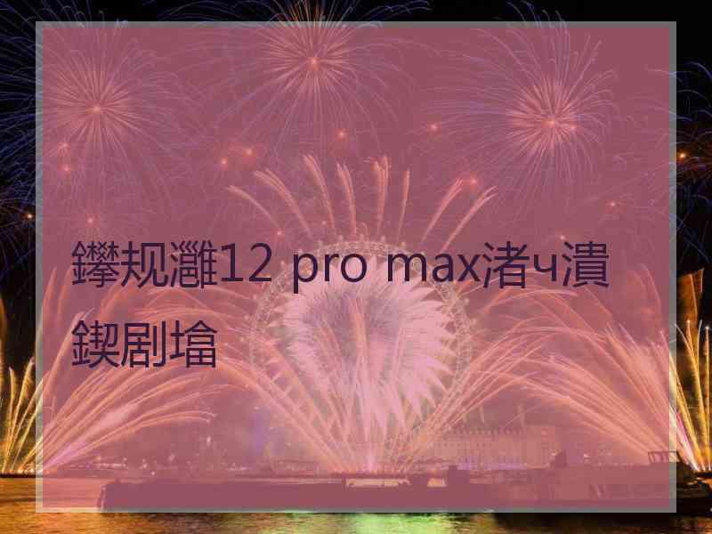 鑻规灉12 pro max渚ч潰鍥剧墖