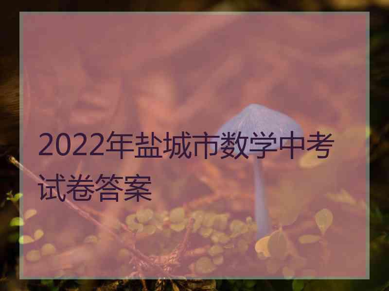 2022年盐城市数学中考试卷答案