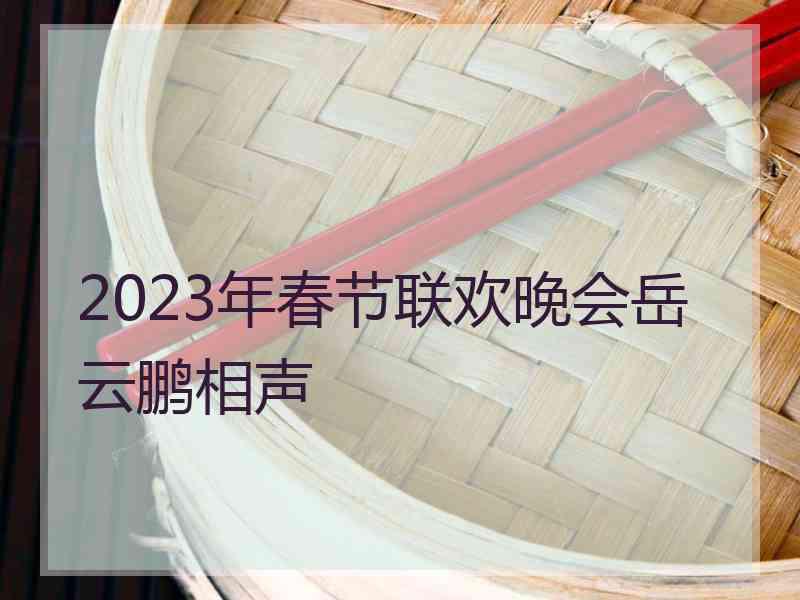 2023年春节联欢晚会岳云鹏相声