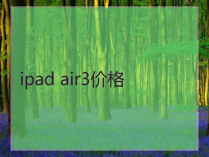 ipad air3价格