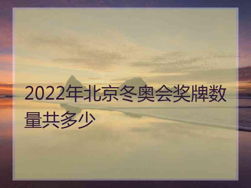 2022年北京冬奥会奖牌数量共多少