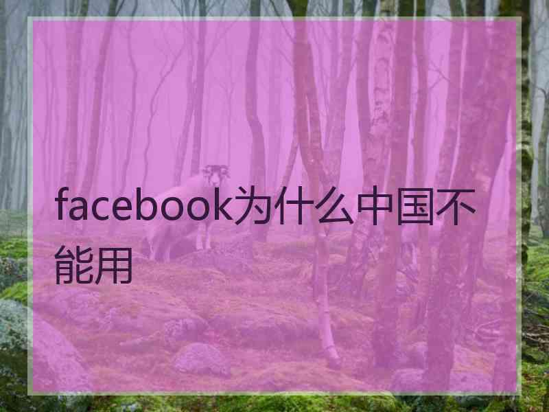 facebook为什么中国不能用