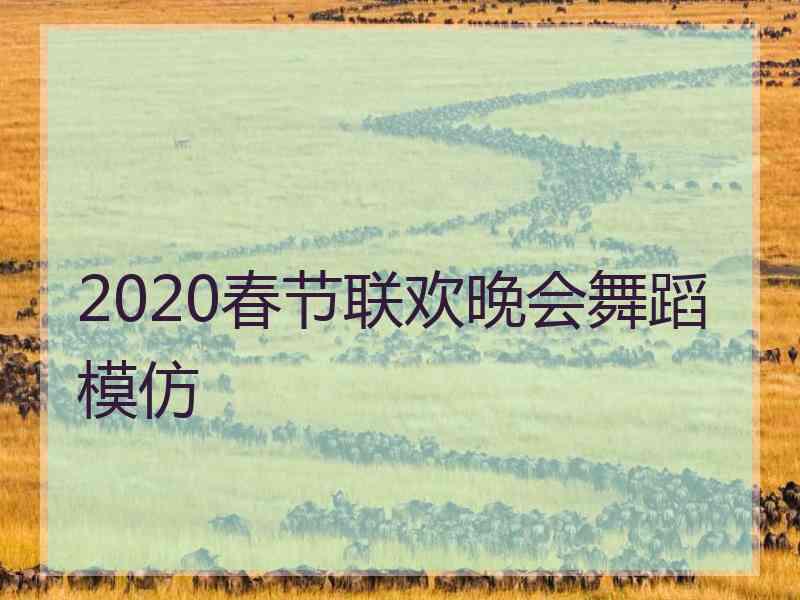 2020春节联欢晚会舞蹈模仿