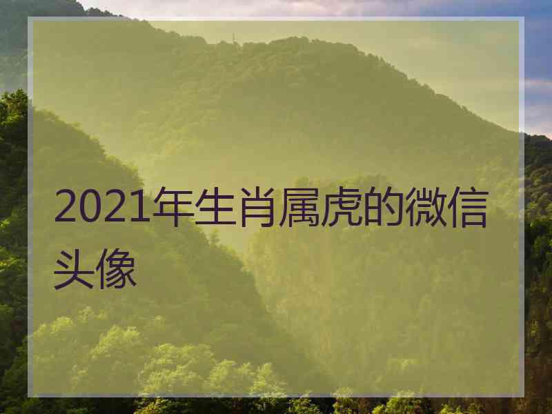 2021年生肖属虎的微信头像