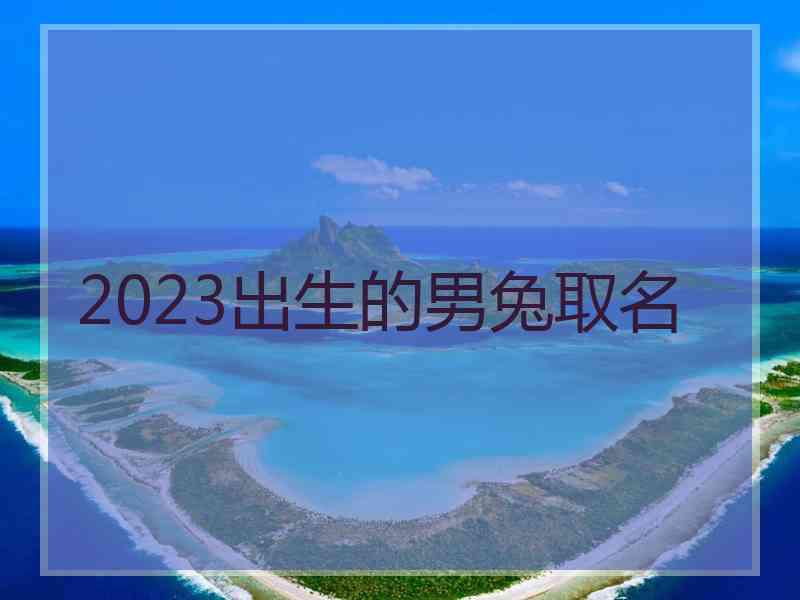 2023出生的男兔取名