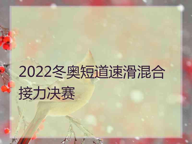 2022冬奥短道速滑混合接力决赛