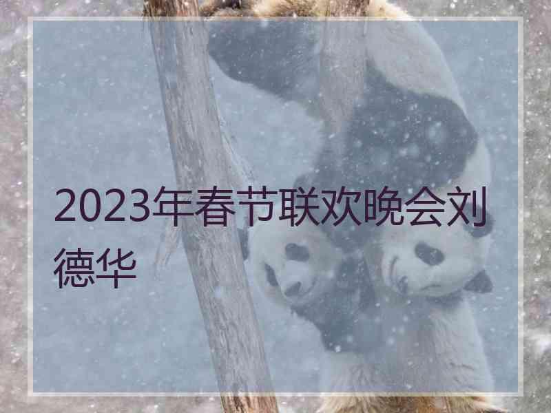 2023年春节联欢晚会刘德华