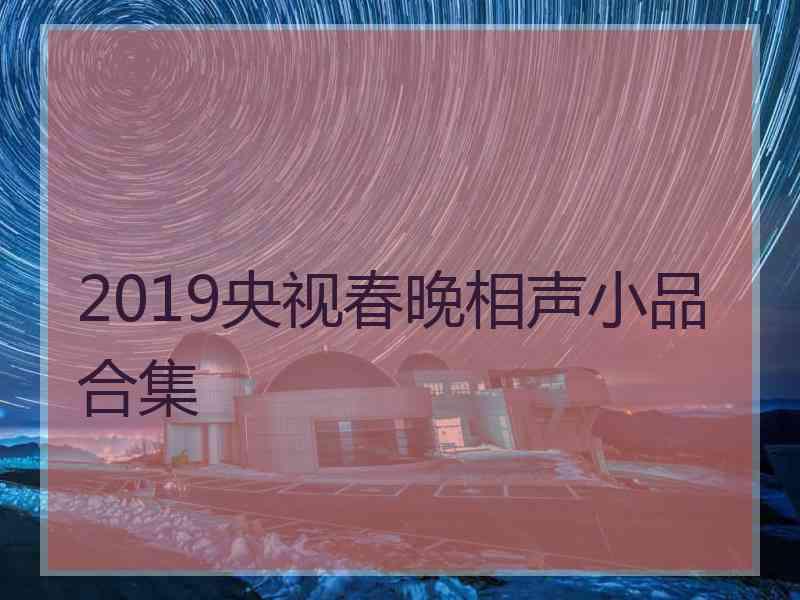 2019央视春晚相声小品合集