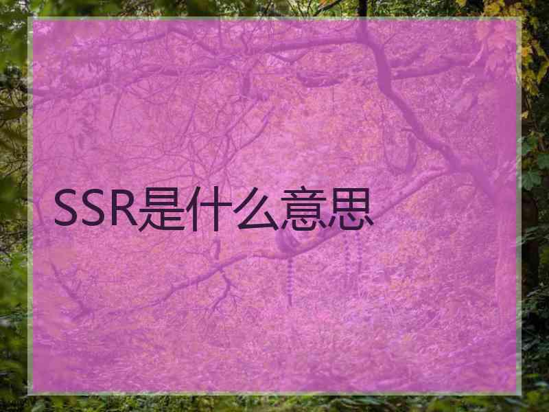 SSR是什么意思