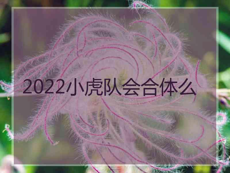 2022小虎队会合体么