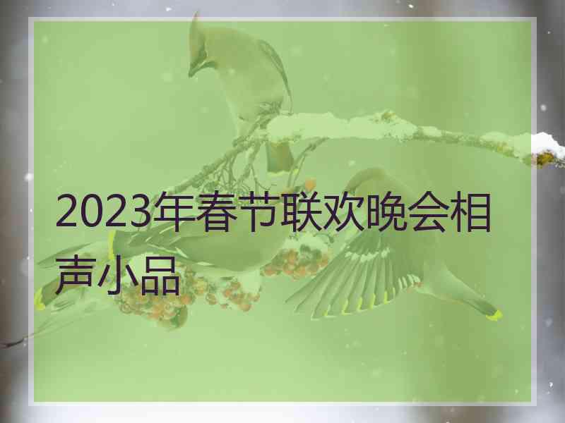 2023年春节联欢晚会相声小品