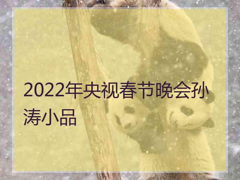 2022年央视春节晚会孙涛小品