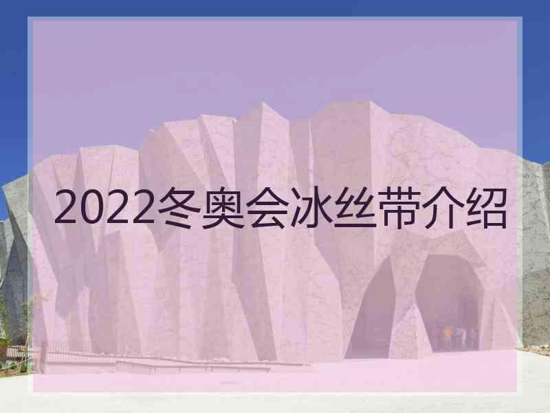 2022冬奥会冰丝带介绍