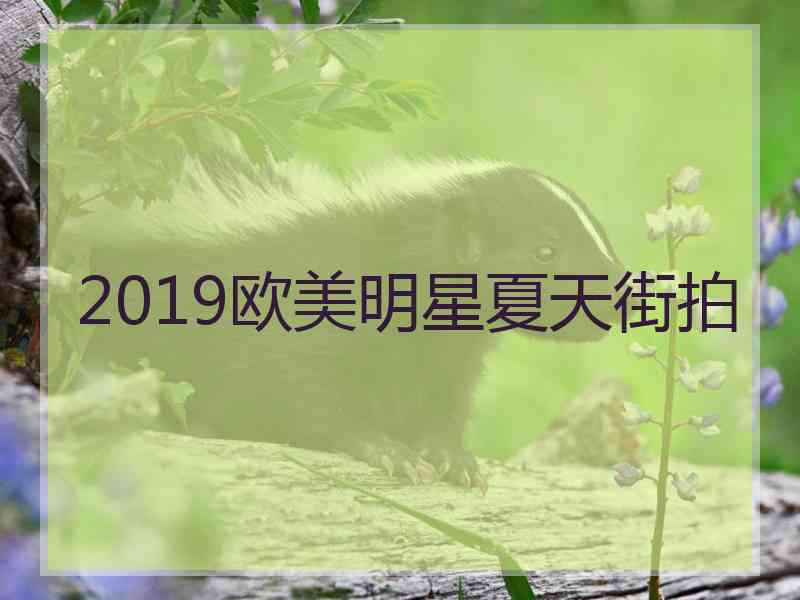 2019欧美明星夏天街拍