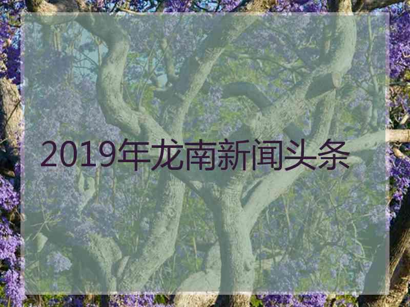 2019年龙南新闻头条