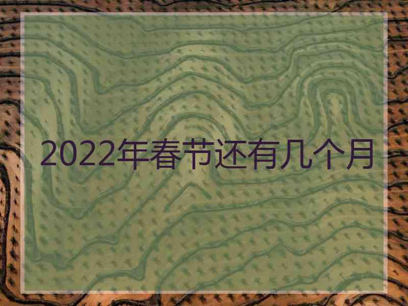 2022年春节还有几个月