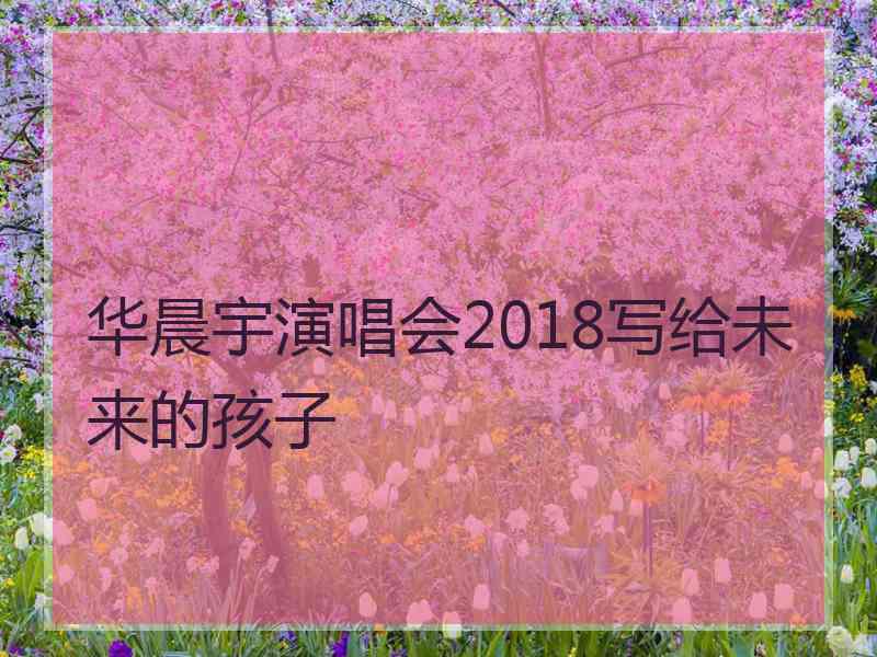 华晨宇演唱会2018写给未来的孩子