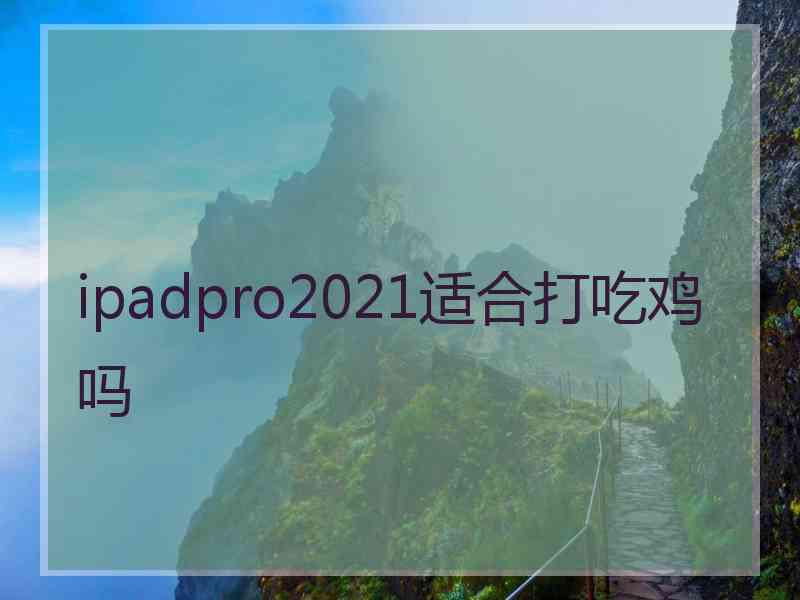 ipadpro2021适合打吃鸡吗