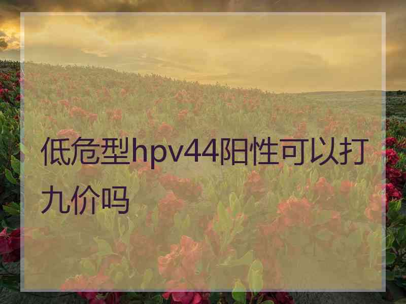 低危型hpv44阳性可以打九价吗