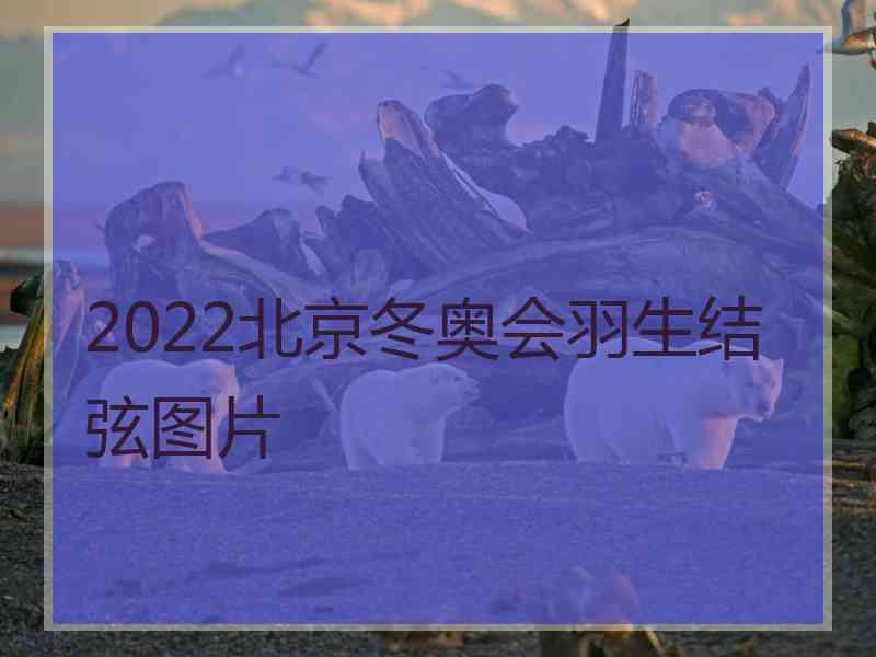 2022北京冬奥会羽生结弦图片