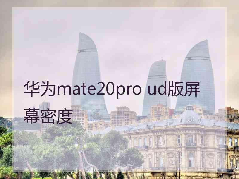 华为mate20pro ud版屏幕密度