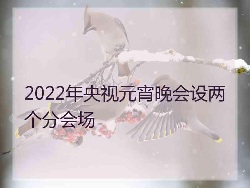 2022年央视元宵晚会设两个分会场