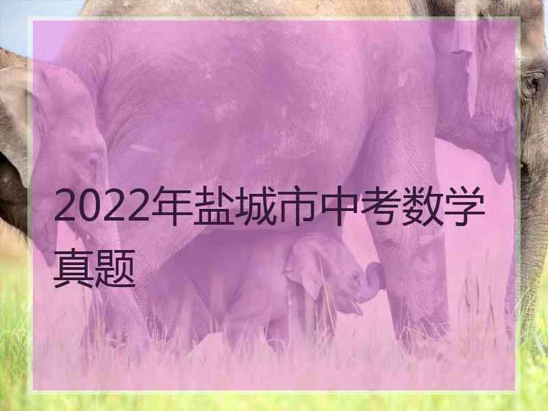 2022年盐城市中考数学真题