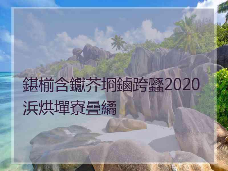 鍖椾含钀芥埛鏀跨瓥2020浜烘墠寮曡繘