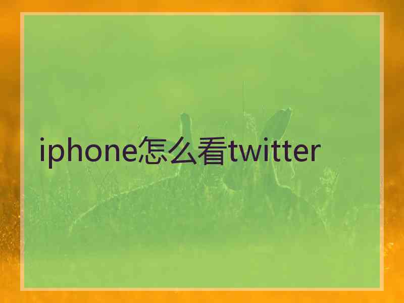 iphone怎么看twitter