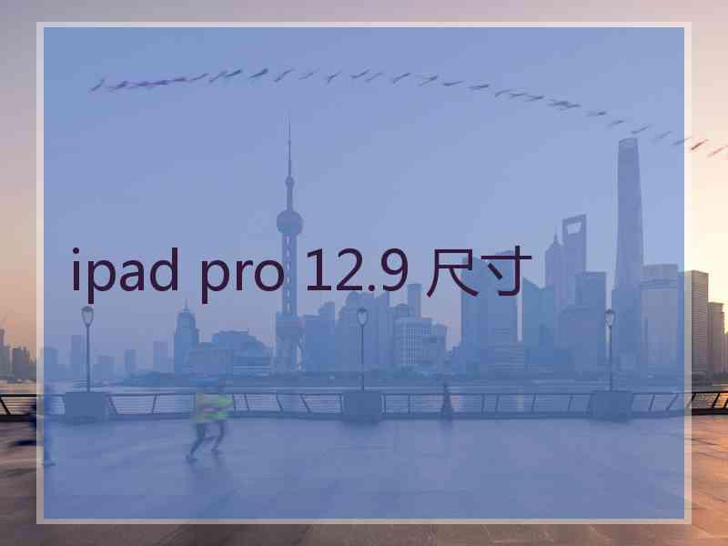 ipad pro 12.9 尺寸