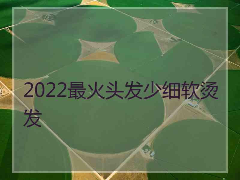 2022最火头发少细软烫发