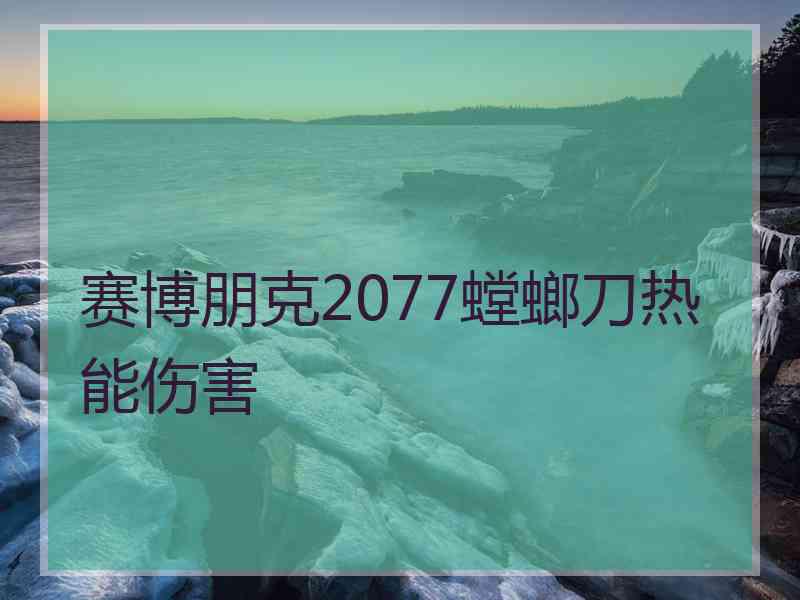 赛博朋克2077螳螂刀热能伤害