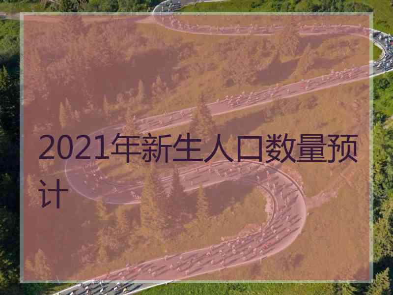 2021年新生人口数量预计