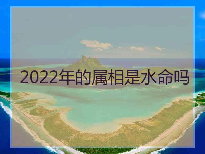 2022年的属相是水命吗