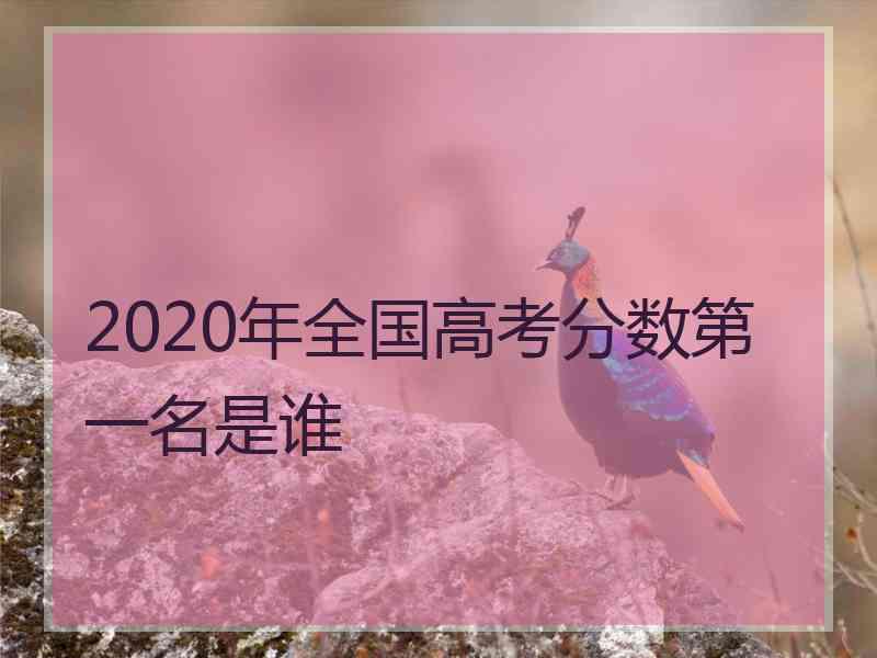 2020年全国高考分数第一名是谁