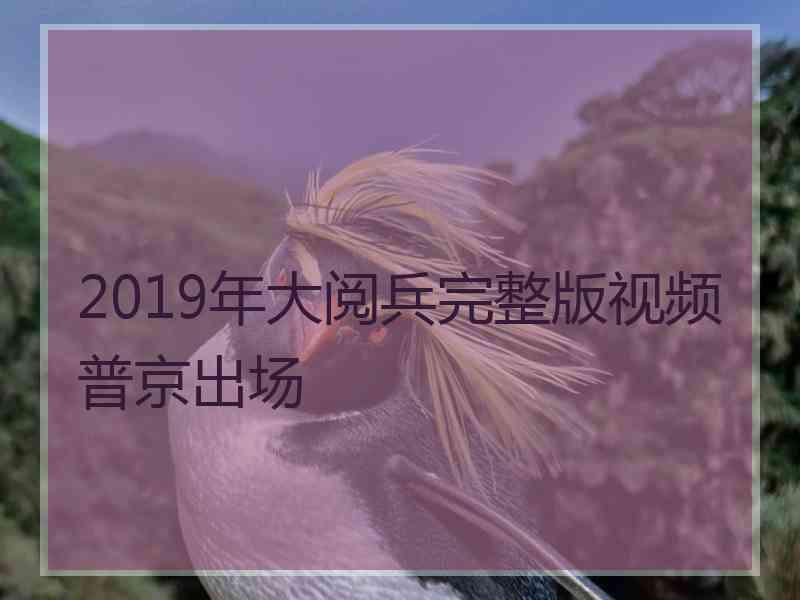 2019年大阅兵完整版视频普京出场