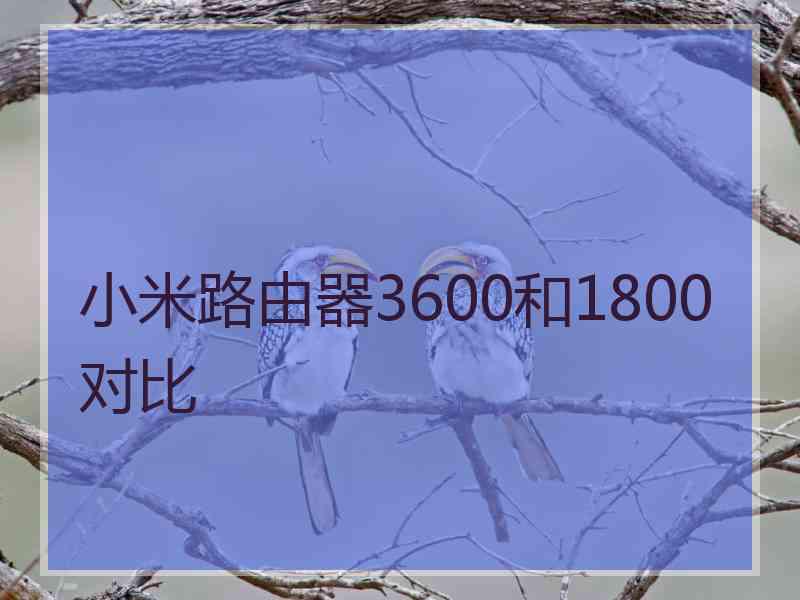 小米路由器3600和1800对比