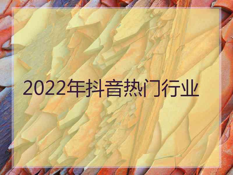 2022年抖音热门行业