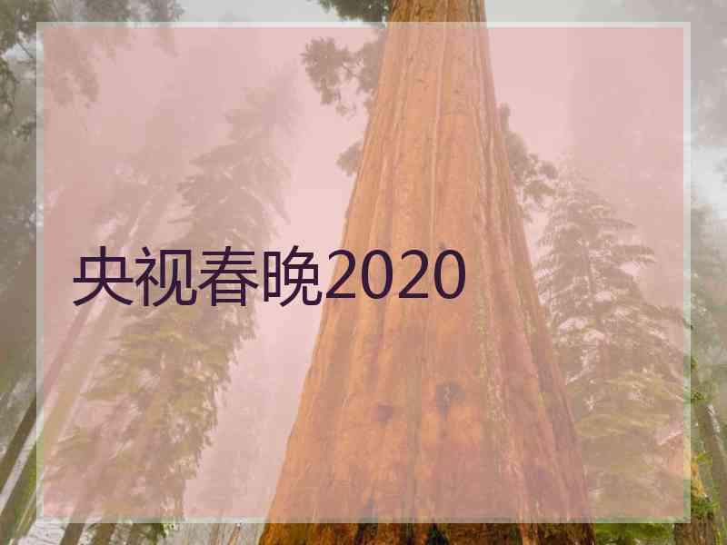 央视春晚2020