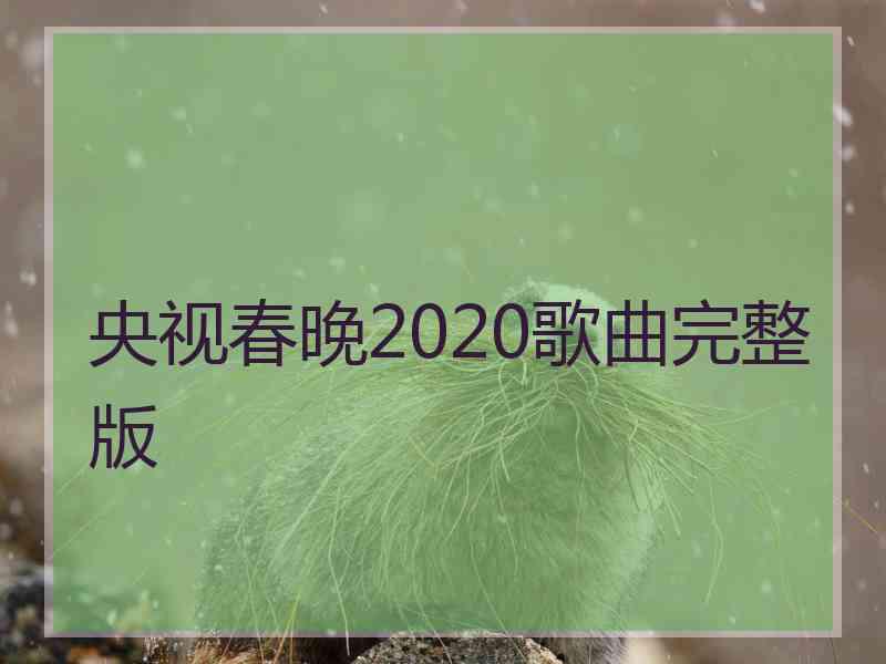 央视春晚2020歌曲完整版