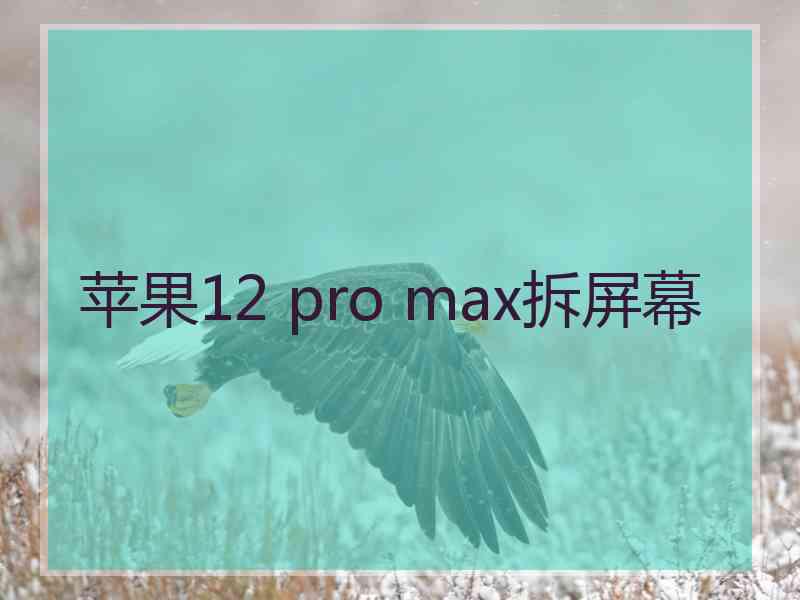 苹果12 pro max拆屏幕