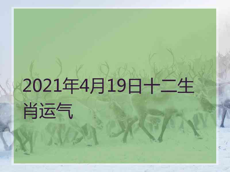 2021年4月19日十二生肖运气