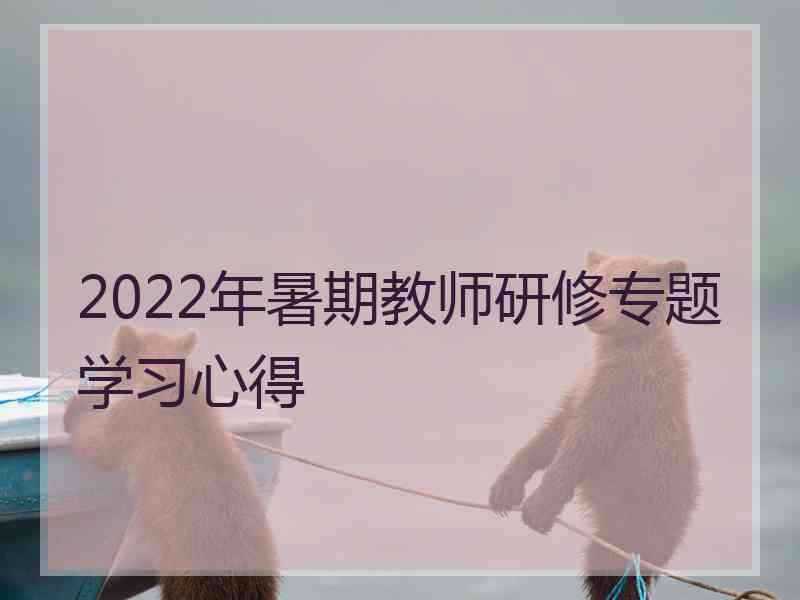 2022年暑期教师研修专题学习心得