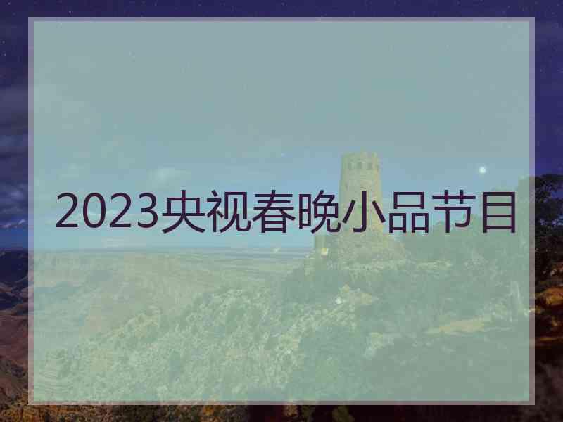 2023央视春晚小品节目