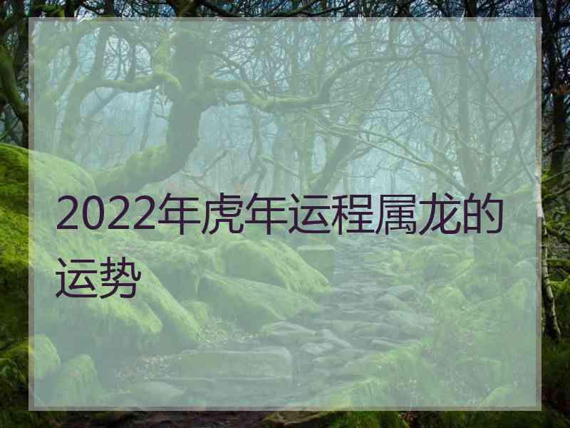 2022年虎年运程属龙的运势